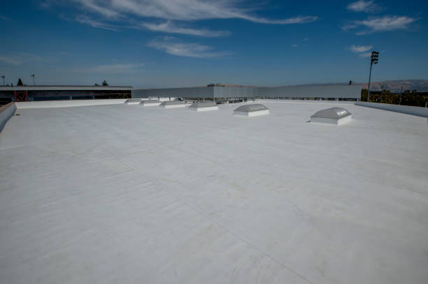 Best Storm Damage Roof Repair  in Pocahontas, AR