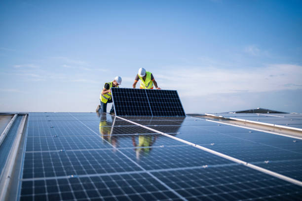Best Roof Maintenance and Cleaning  in Pocahontas, AR