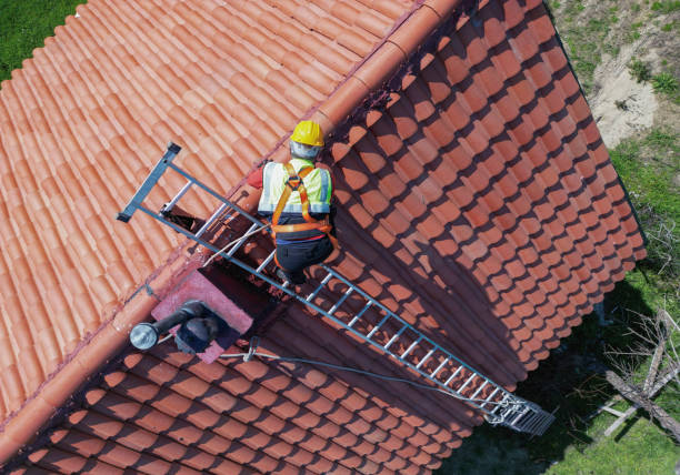 Best Roof Insulation Installation  in Pocahontas, AR